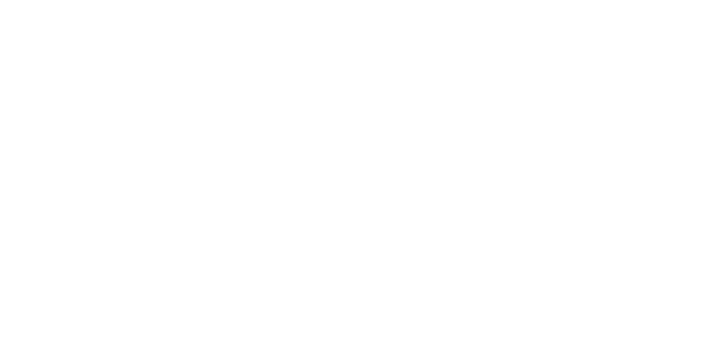VCG Logo weiß ohne Hintergrund
