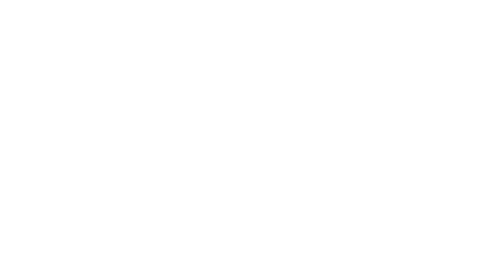 SWE Logo weiß ohne Hintergrund